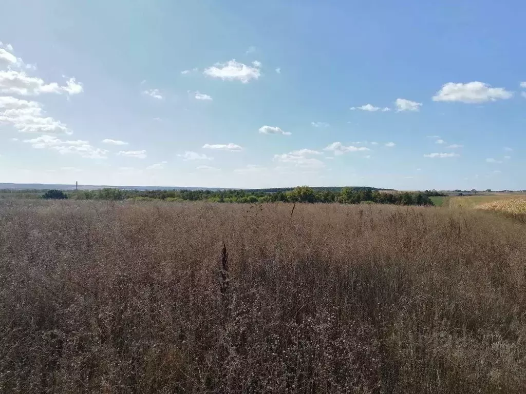 Участок в Белгородская область, Белгородский район, Беловское с/пос, ... - Фото 0