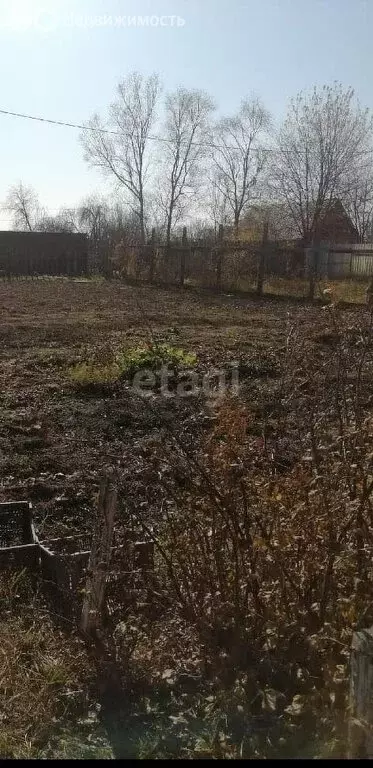 Участок в Амурская область, Благовещенский муниципальный округ, село ... - Фото 0