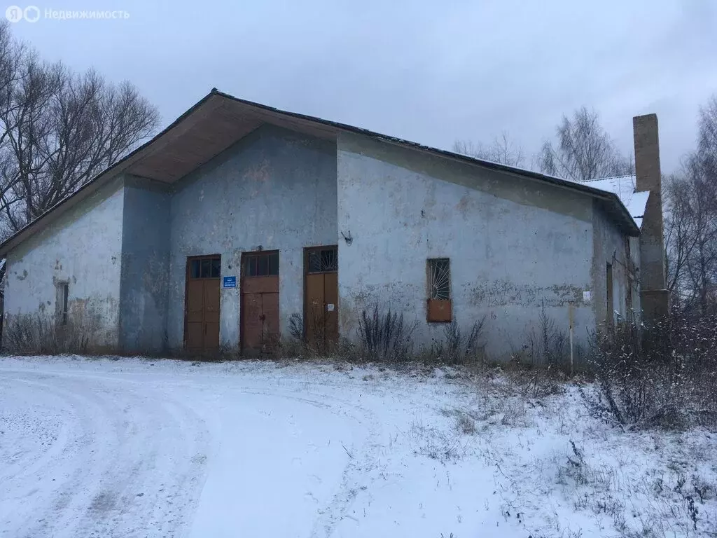 Помещение свободного назначения (423.3 м) - Фото 1