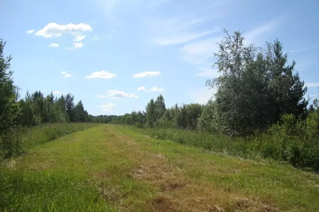 Участок в Ленинградская область, Выборгский район, Красносельское ... - Фото 1