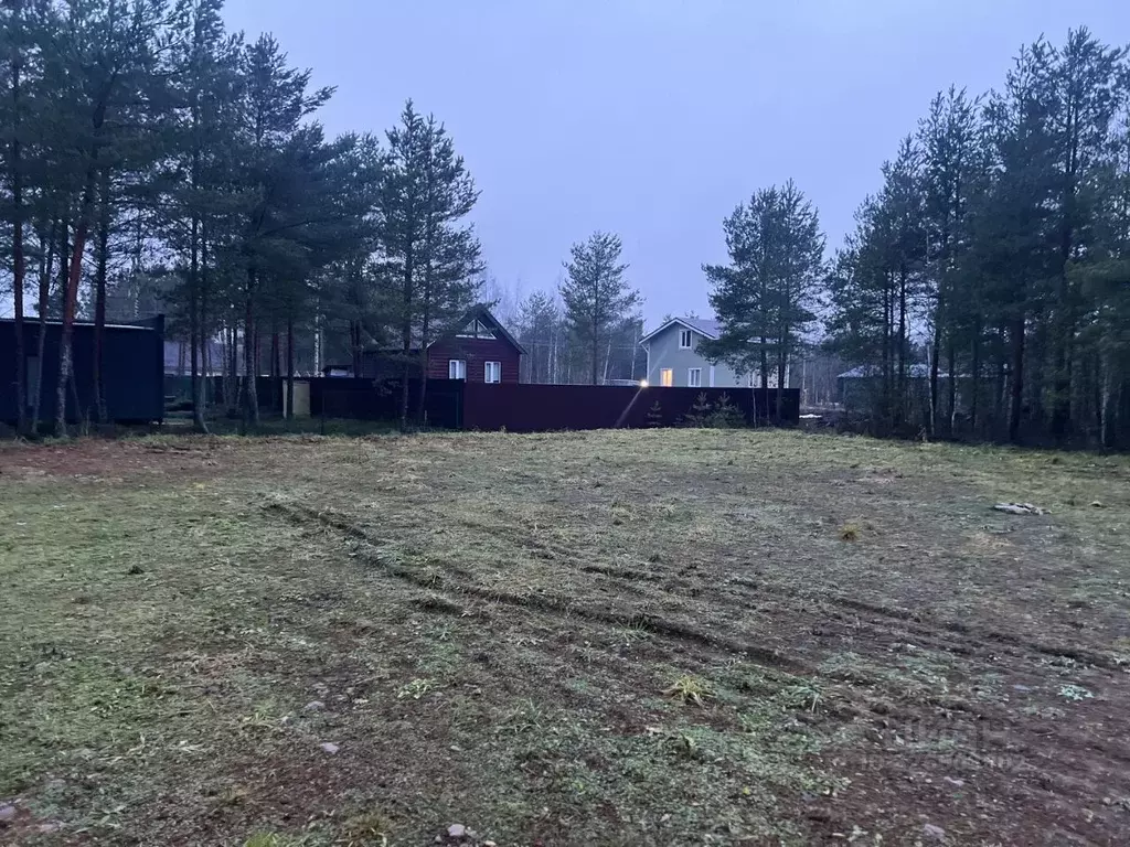 Участок в Ленинградская область, Ломоносовский район, Ропшинское ... - Фото 1