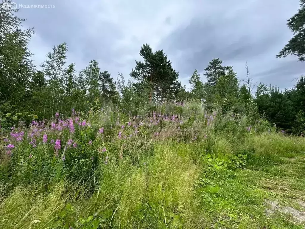 Участок в Тюменский район, посёлок Андреевский (20 м) - Фото 0