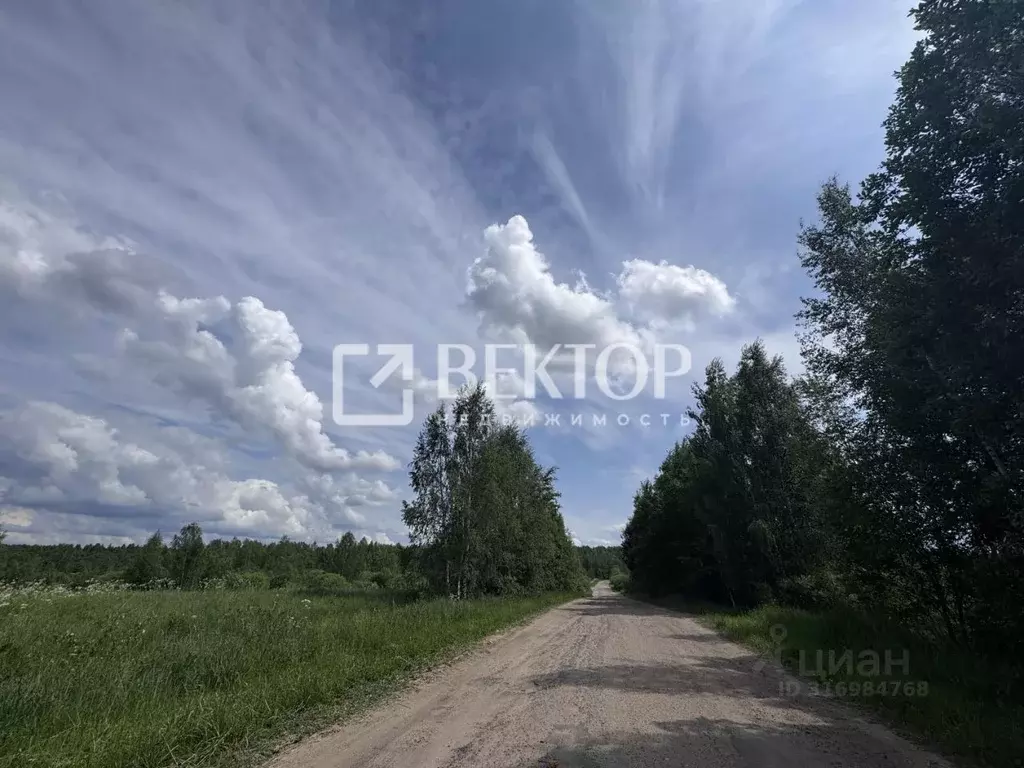 Участок в Ярославская область, Ярославский муниципальный округ, ... - Фото 0