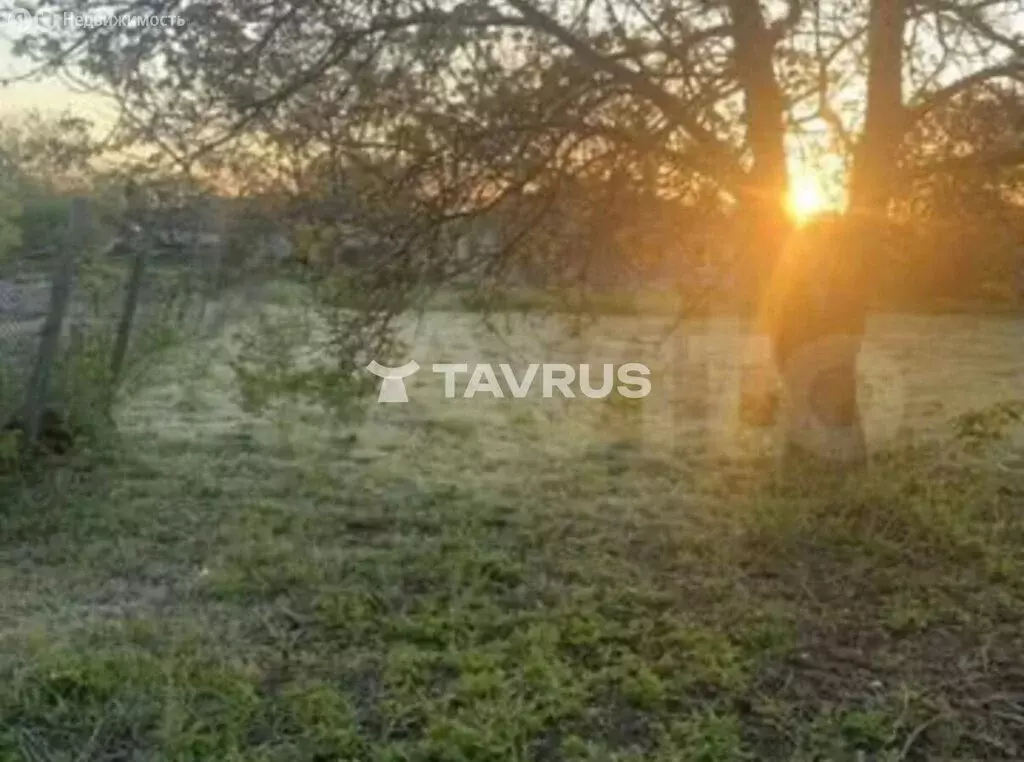 Участок в Трудовое, Восточная улица, 3 (8.5 м) - Фото 2