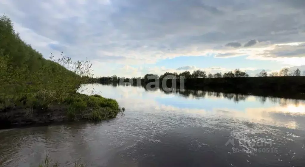 Участок в Калужская область, Калуга городской округ, д. Андреевское  ... - Фото 2