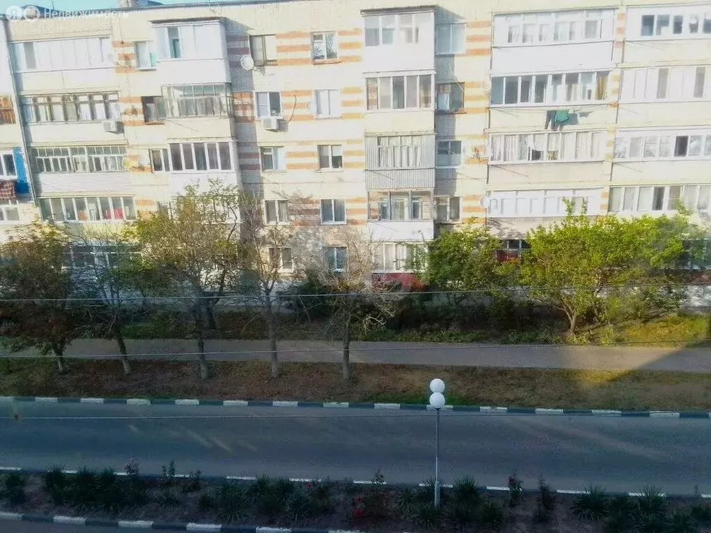 1-комнатная квартира: Новый Оскол, улица Ленина, 51 (31.5 м) - Фото 0