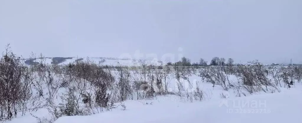 Участок в Липецкая область, Добровский муниципальный округ, с. ... - Фото 2