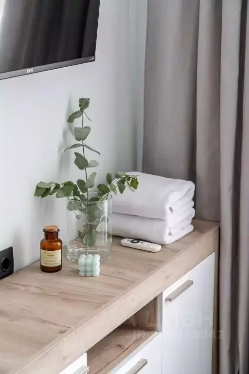 1-к кв. Санкт-Петербург дор. Торфяная, 17к6 (18.0 м) - Фото 1