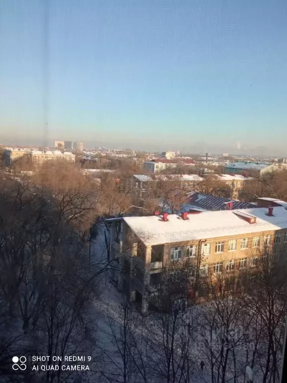 1-к кв. Самарская область, Самара ул. Дыбенко, 157 (24.0 м) - Фото 1