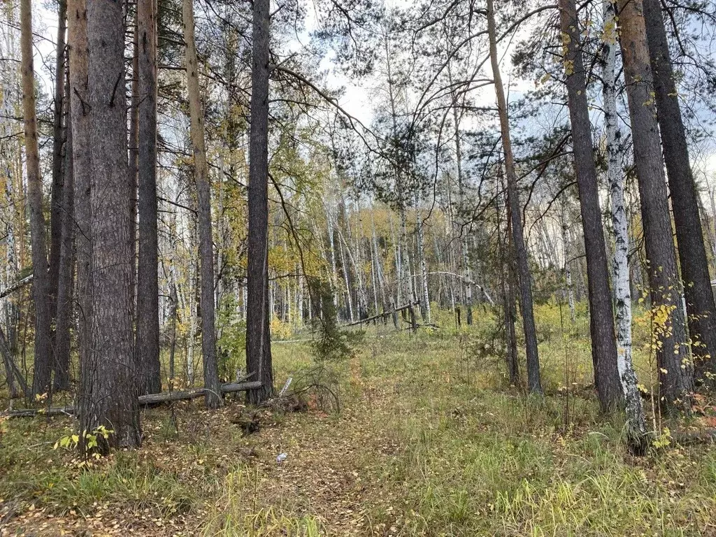 Участок в Свердловская область, Сысертский муниципальный округ, пос. ... - Фото 0