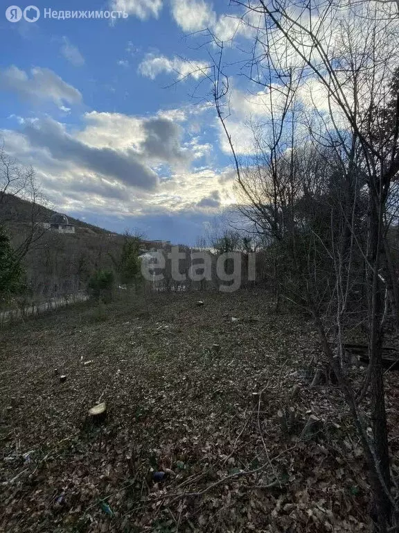 Участок в село Южная Озереевка, СНТ Геолог (10 м) - Фото 1