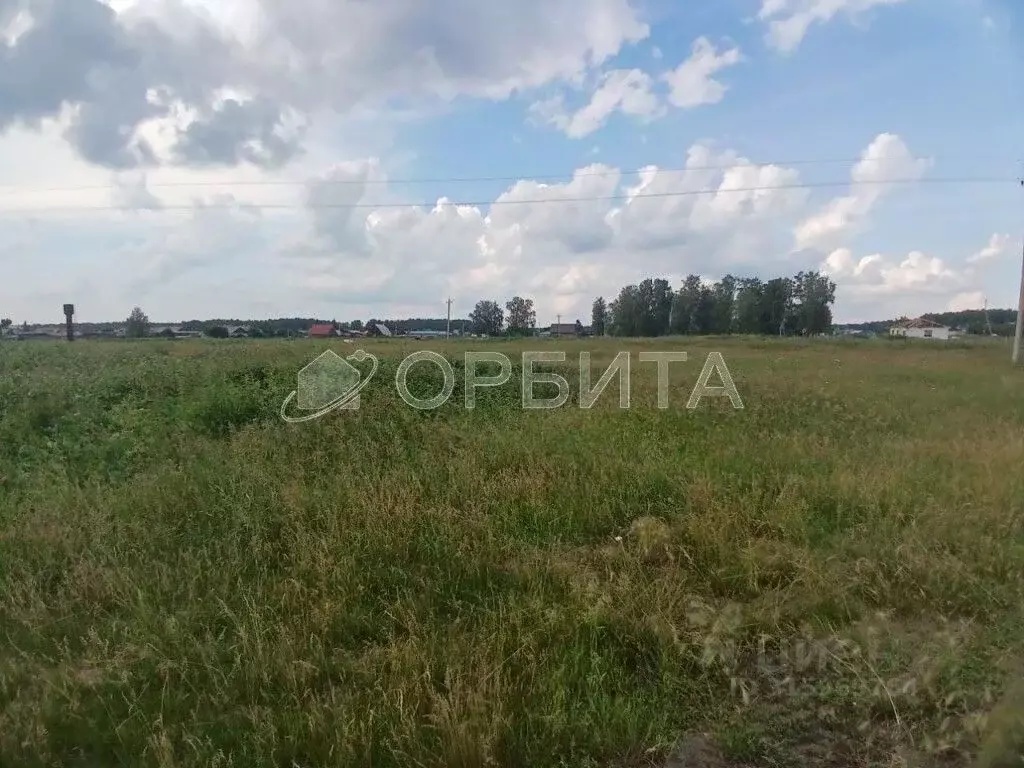 Участок в Тюменская область, Нижнетавдинский район, Строитель ТСН  ... - Фото 0