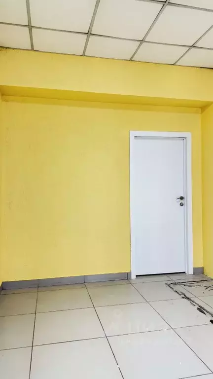 Помещение свободного назначения в Новосибирская область, Новосибирск ... - Фото 2