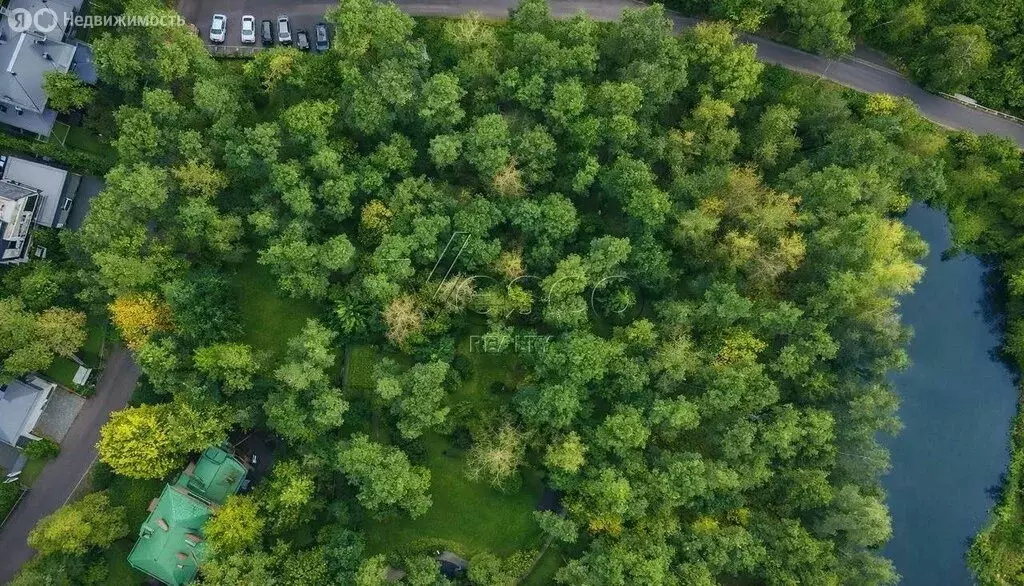 Участок в посёлок Николина Гора, КП Сосновый бор (41.5 м) - Фото 1