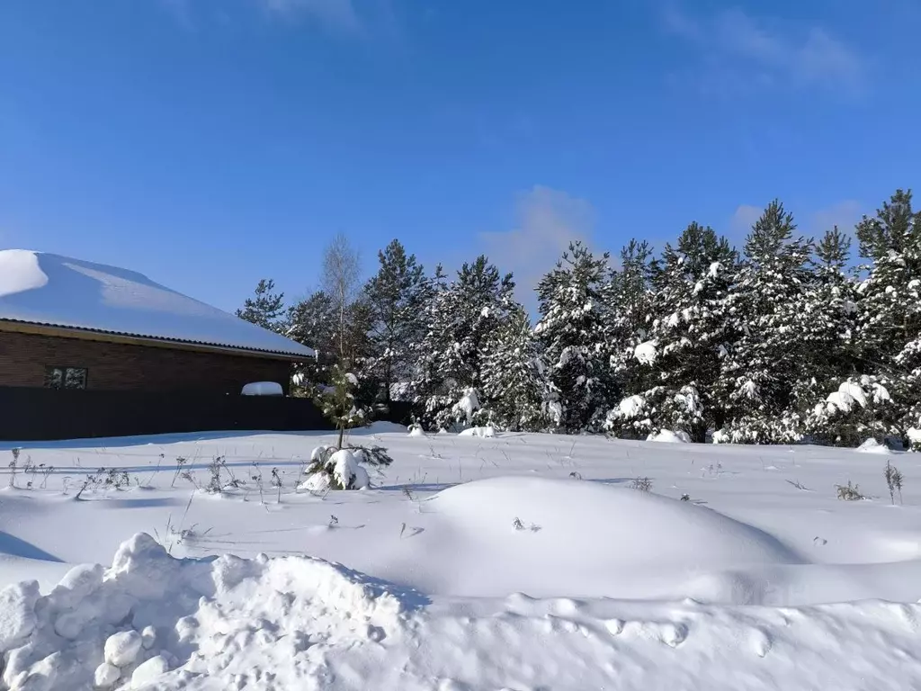 Участок в Московская область, Раменский муниципальный округ, с. ... - Фото 1