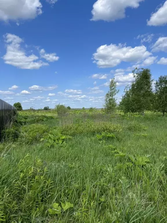 Участок в Тверская область, Конаковский муниципальный округ, д. ... - Фото 1
