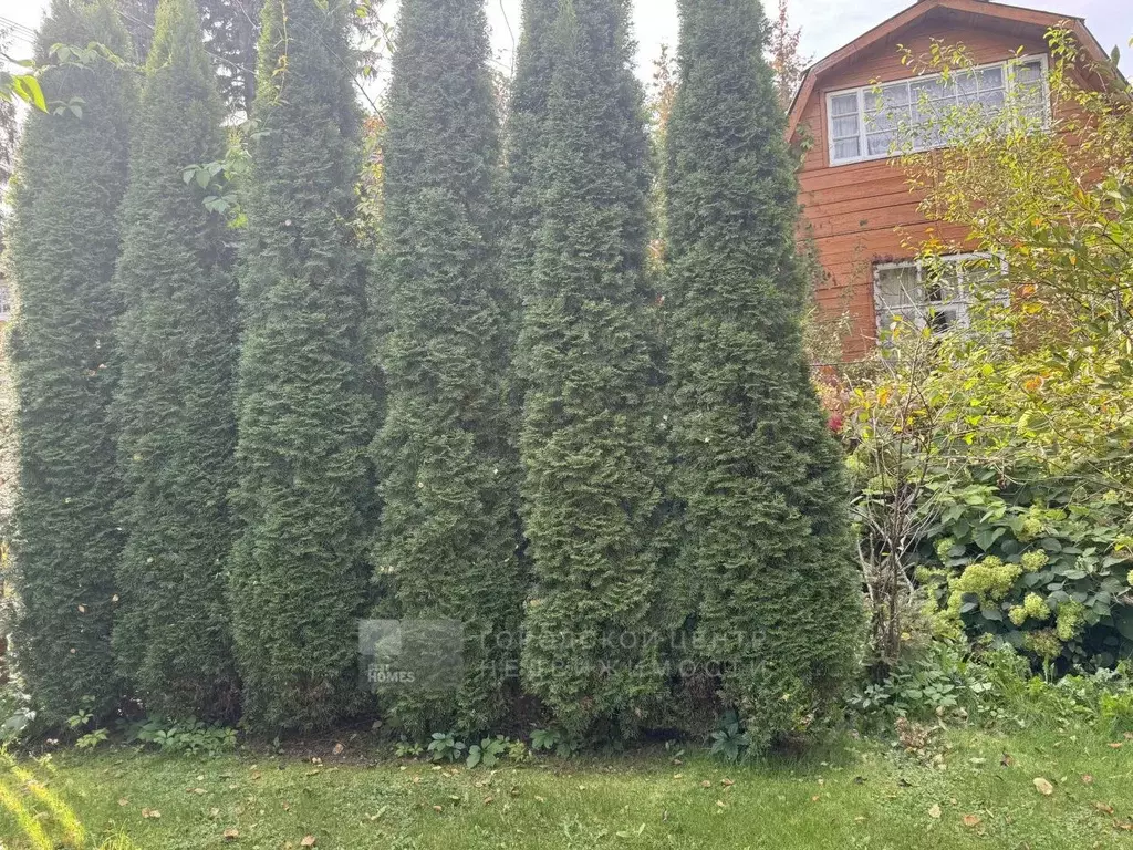 Участок в Москва пос. Совхоза Крекшино, Крекшино-ВВЦ СНТ, ул. Большая ... - Фото 2