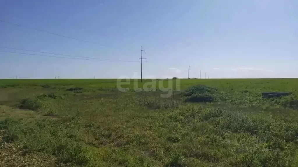 Участок в Крым, Ленинский район, с. Семисотка ул. Закияна (804.8 сот.) - Фото 1