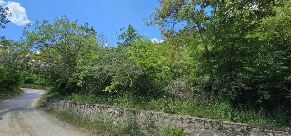 Участок в Крым, Алушта муниципальный округ, с. Малый Маяк ул. Голубева ... - Фото 1