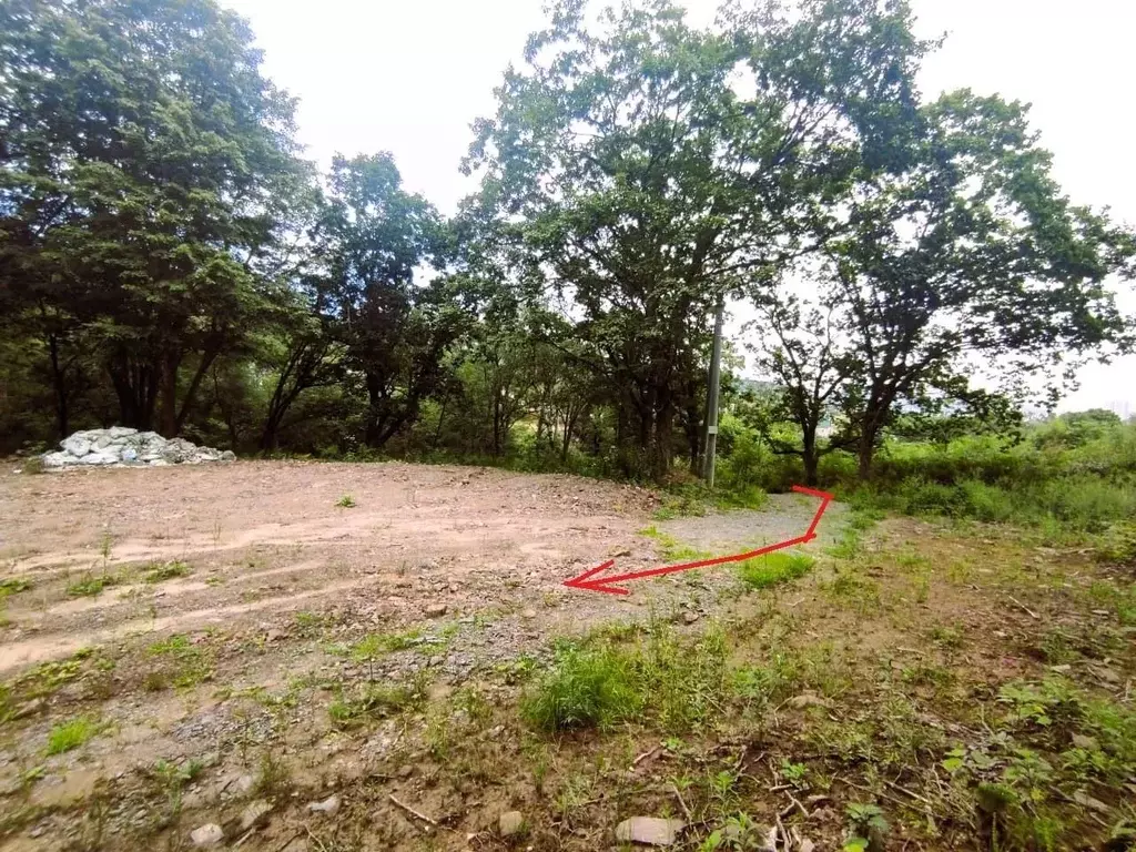 Участок в Приморский край, Находка Находка СНТ, ул. Центральная, 31 ... - Фото 2