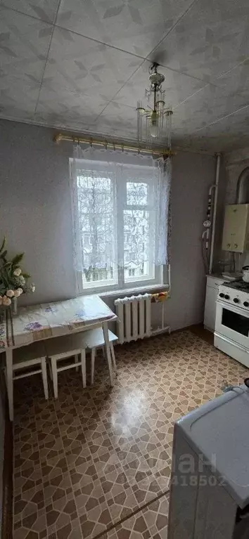 3-к кв. Брянская область, Новозыбков ул. 307-й Дивизии, 44 (59.4 м) - Фото 2