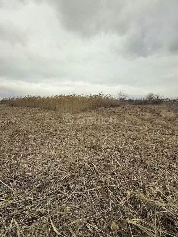 Участок в Волгоградская область, Среднеахтубинский район, Фрунзенское ... - Фото 2