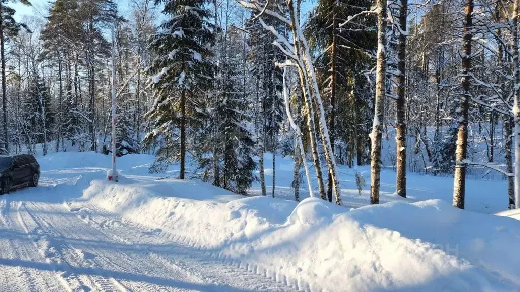 Участок в Ленинградская область, Всеволожский район, Куйвозовское ... - Фото 2