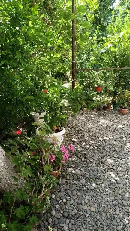 Дом в Крым, Судак муниципальный округ, с. Морское ул. Ленина, 128 (120 ... - Фото 2