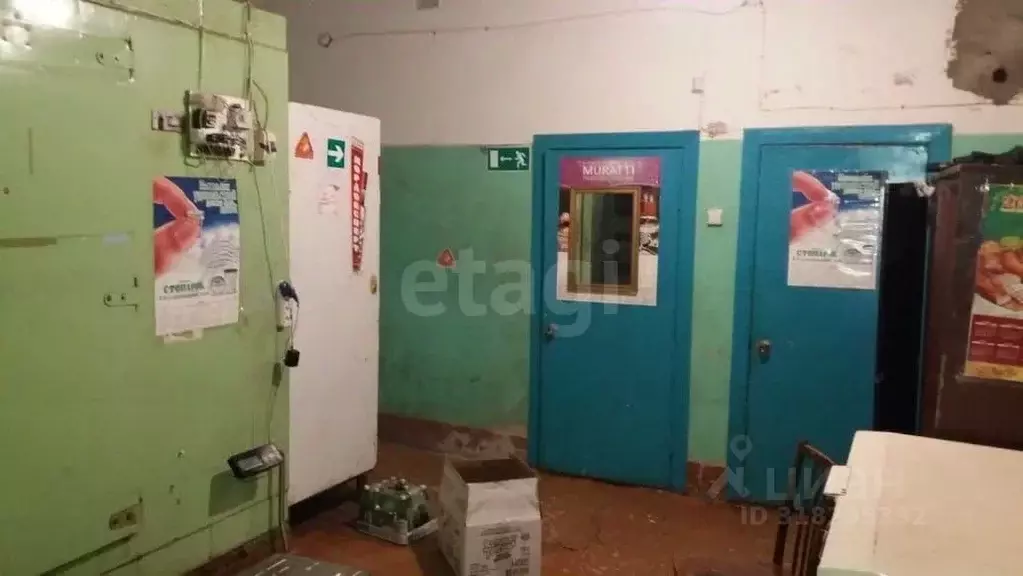 Торговая площадь в Мордовия, с. Старое Шайгово ул. Рабочая, 11 (53 м) - Фото 1