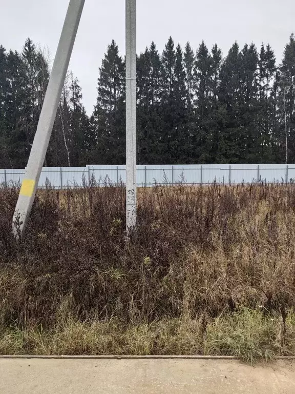 Участок в Калужская область, Боровский район, Совьяки с/пос, д. ... - Фото 2