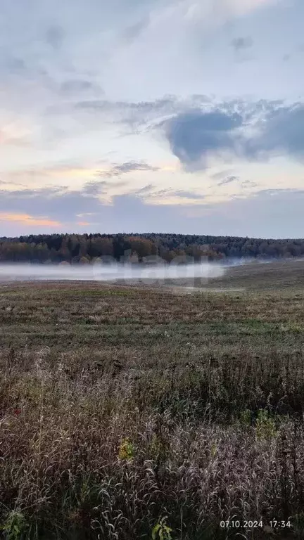 Дом в Владимирская область, Собинский муниципальный округ, д. ... - Фото 0