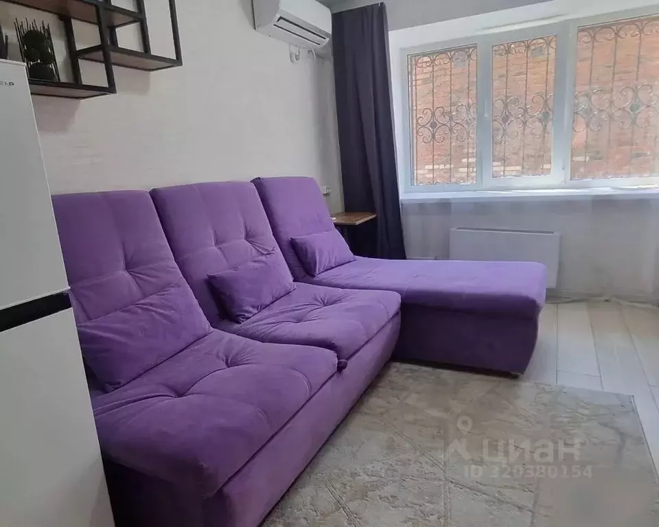 Студия Курганская область, Шадринск ул. Карла Маркса, 82Б (20.0 м) - Фото 2