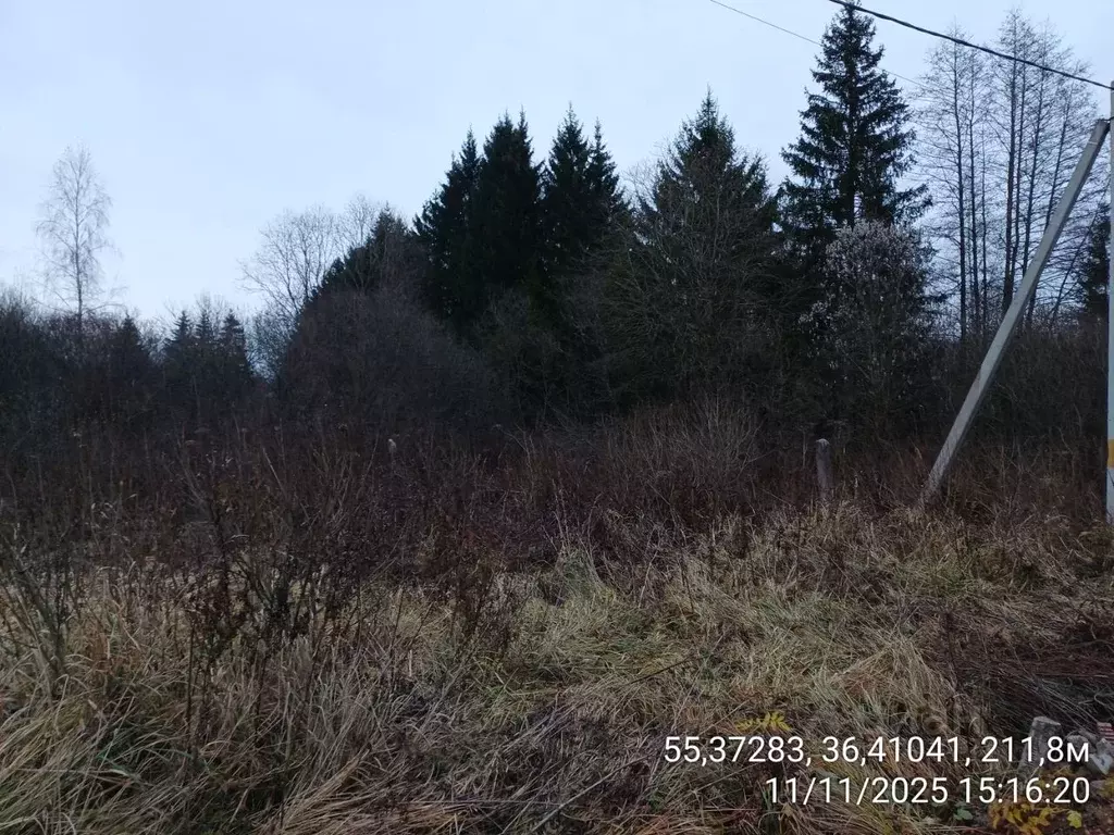 Участок в Московская область, Наро-Фоминский городской округ, д. ... - Фото 1