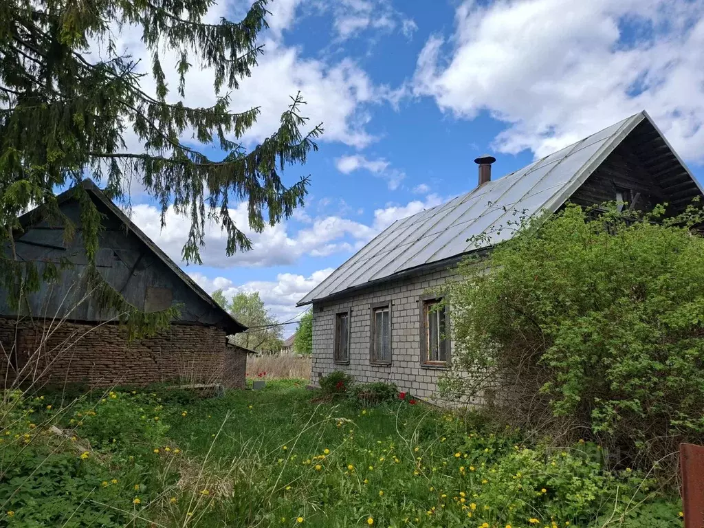 Дом в Псковская область, Печорский муниципальный округ, д. Видовичи ... - Фото 1