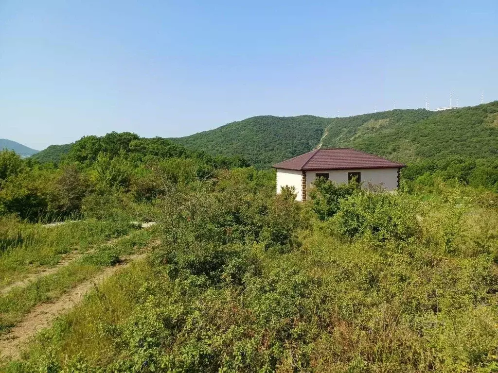 Участок в Краснодарский край, Новороссийск городской округ, с. ... - Фото 2