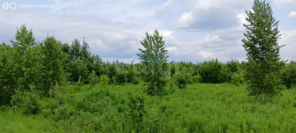 Участок в Кемеровский муниципальный округ, деревня Александровка, ... - Фото 2