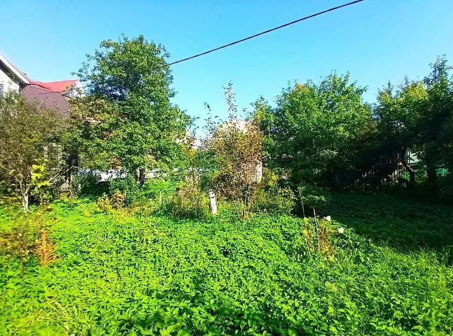 Участок в Ленинградская область, Выборгский район, Рощино пгт ул. ... - Фото 2