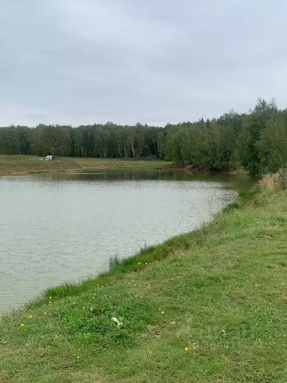 участок в московская область, чехов городской округ, пос. любучаны . - Фото 1