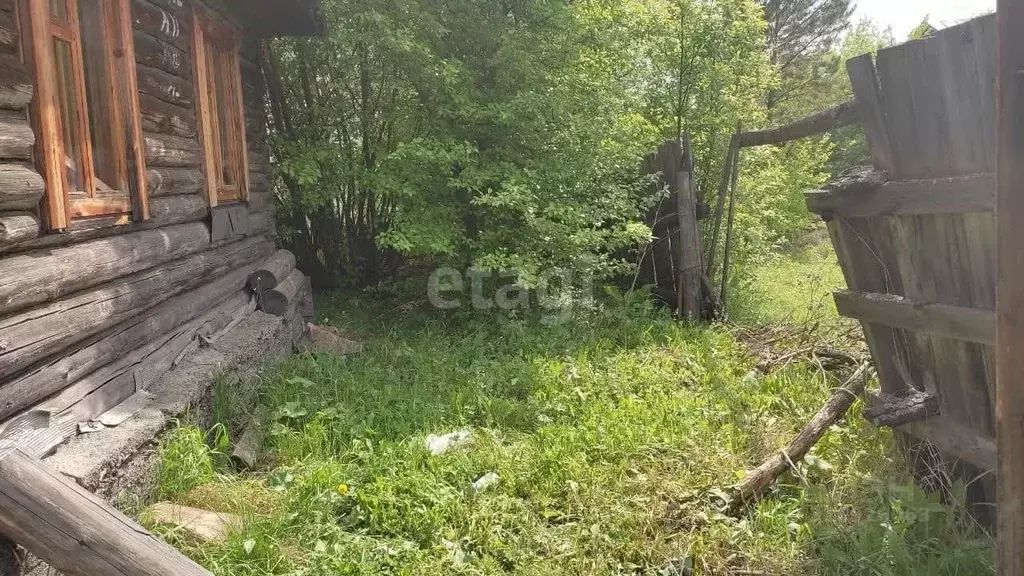 Дом в Свердловская область, Белоярский городской округ, с. Камышево ... - Фото 1