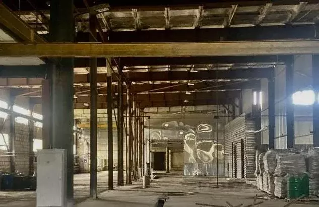 Производственное помещение в Пермский край, Добрянка Красногвардейская ... - Фото 1