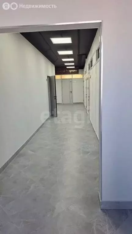 Офис (50.2 м) - Фото 1