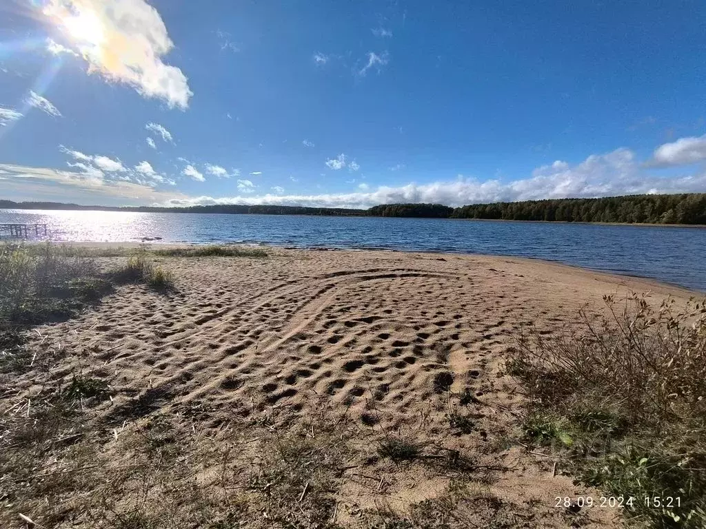 Дом в Тверская область, Осташковский муниципальный округ, д. Городец ... - Фото 1