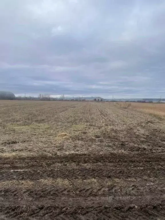 Участок в Белгородская область, Губкинский городской округ, с. ... - Фото 0