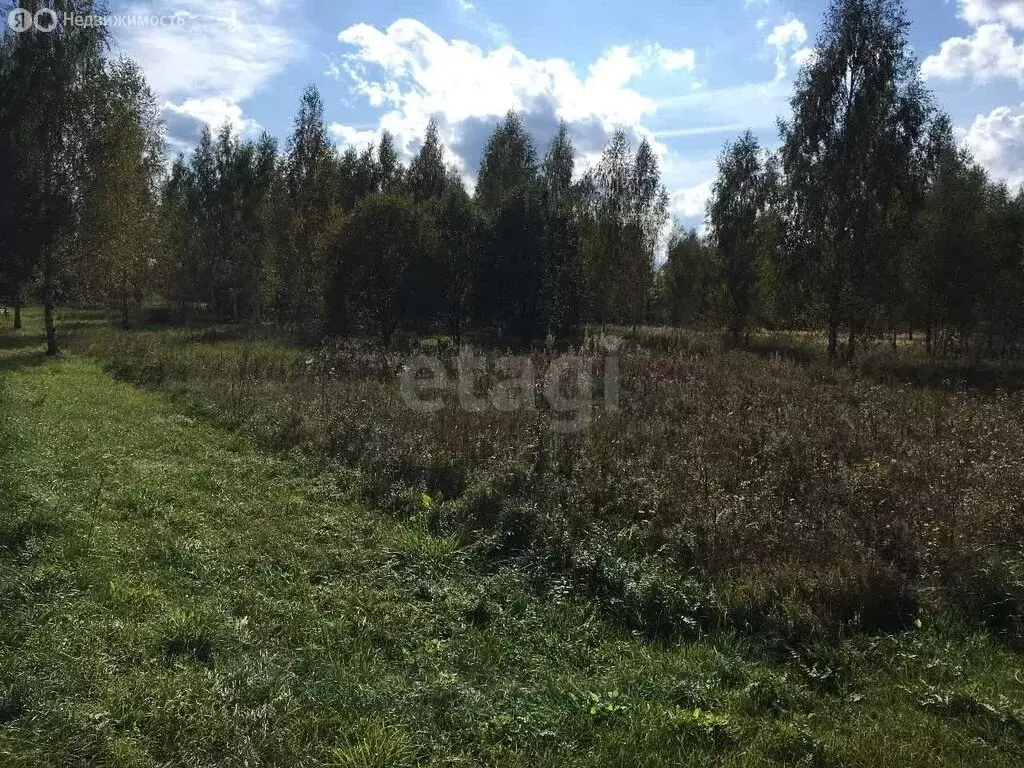 Участок в Ярославский муниципальный округ, село Еремеевское (8 м) - Фото 1