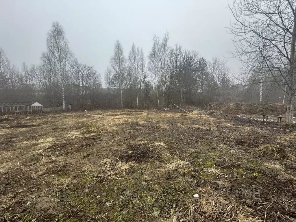 Участок в Брянская область, Брянский район, Супоневское с/пос, Рассвет ... - Фото 0