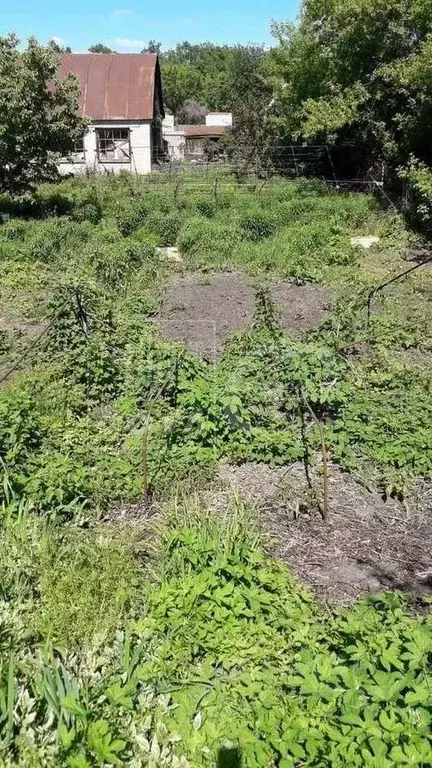 Дом в Воронежская область, Воронеж Кировец СНТ,  (48 м) - Фото 2