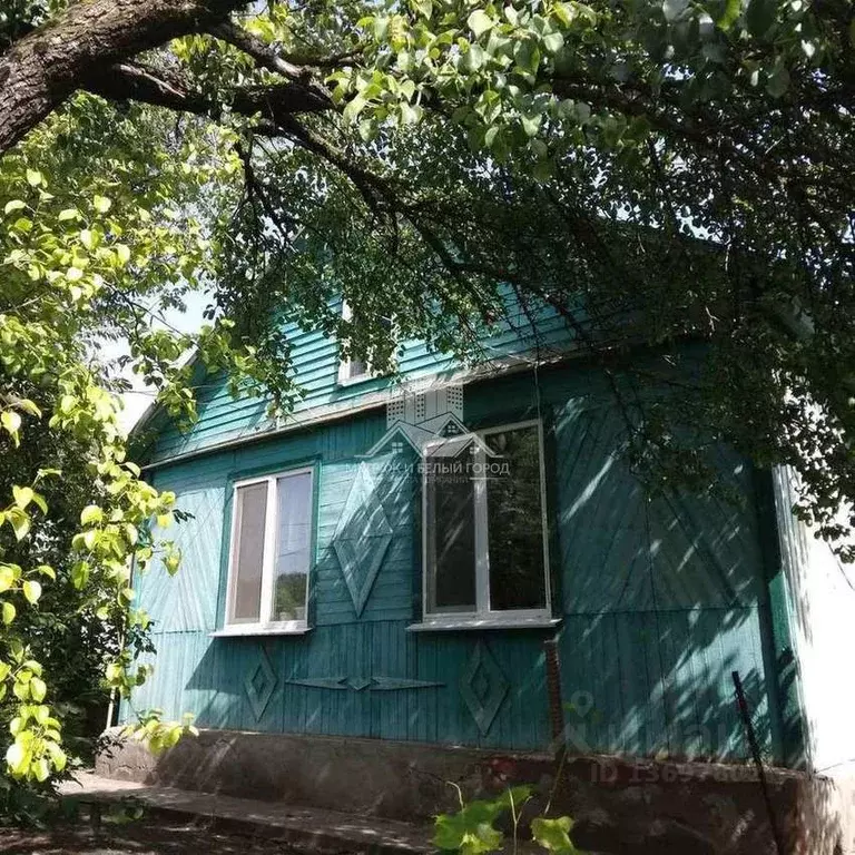 Дом в Белгородская область, Яковлевский городской округ, с. Шопино ... - Фото 1