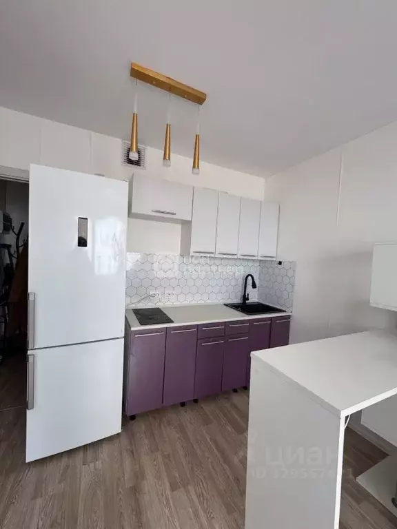 Студия Санкт-Петербург дор. Муринская, 27к1 (20.5 м) - Фото 2