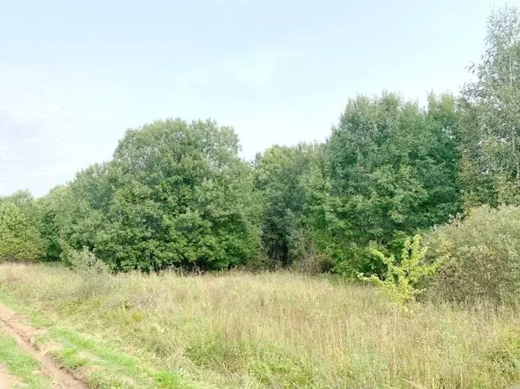 Участок 19,96 га (СНТ, ДНП) - Фото 0