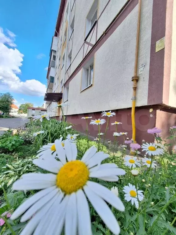 3-к. квартира, 59 м, 4/5 эт. - Фото 0